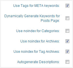 no-index Tag & Category pages