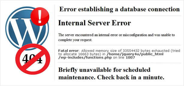 Website Errors