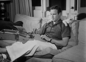 marlon_brando_cat-300x217