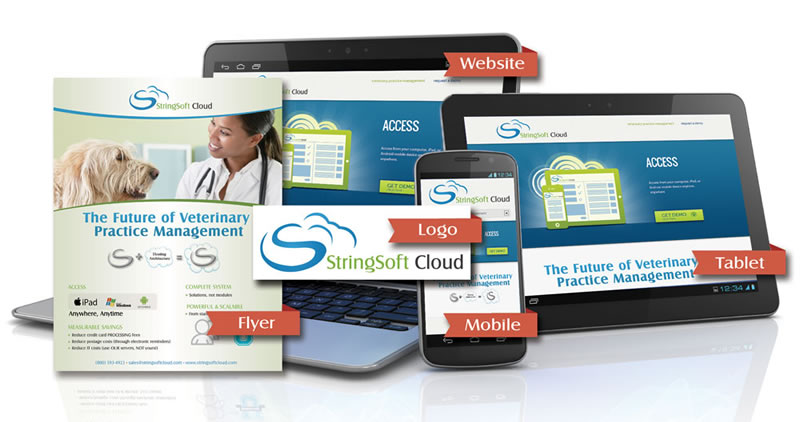 Stringsoft - Branding, Logo & Website Design by Optimize Worldwide