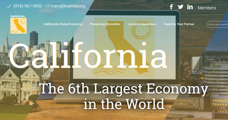 Team California - Website Design by Optimize Worldwide
