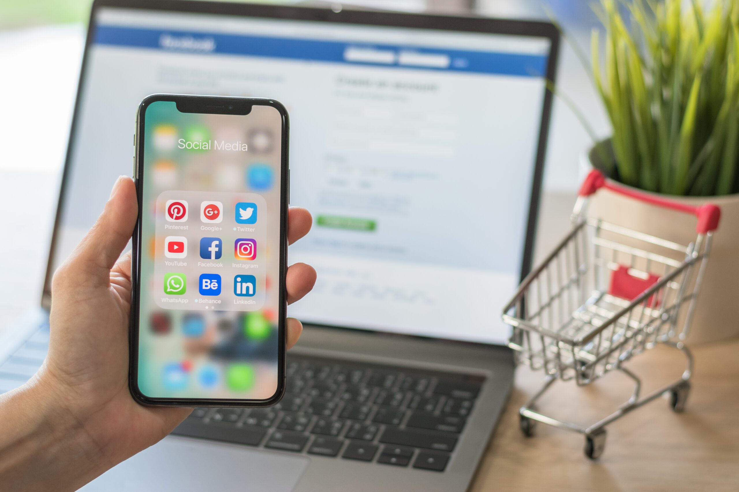 Seek a Professional to Reach Customers with Facebook & Instagram Digital Advertising