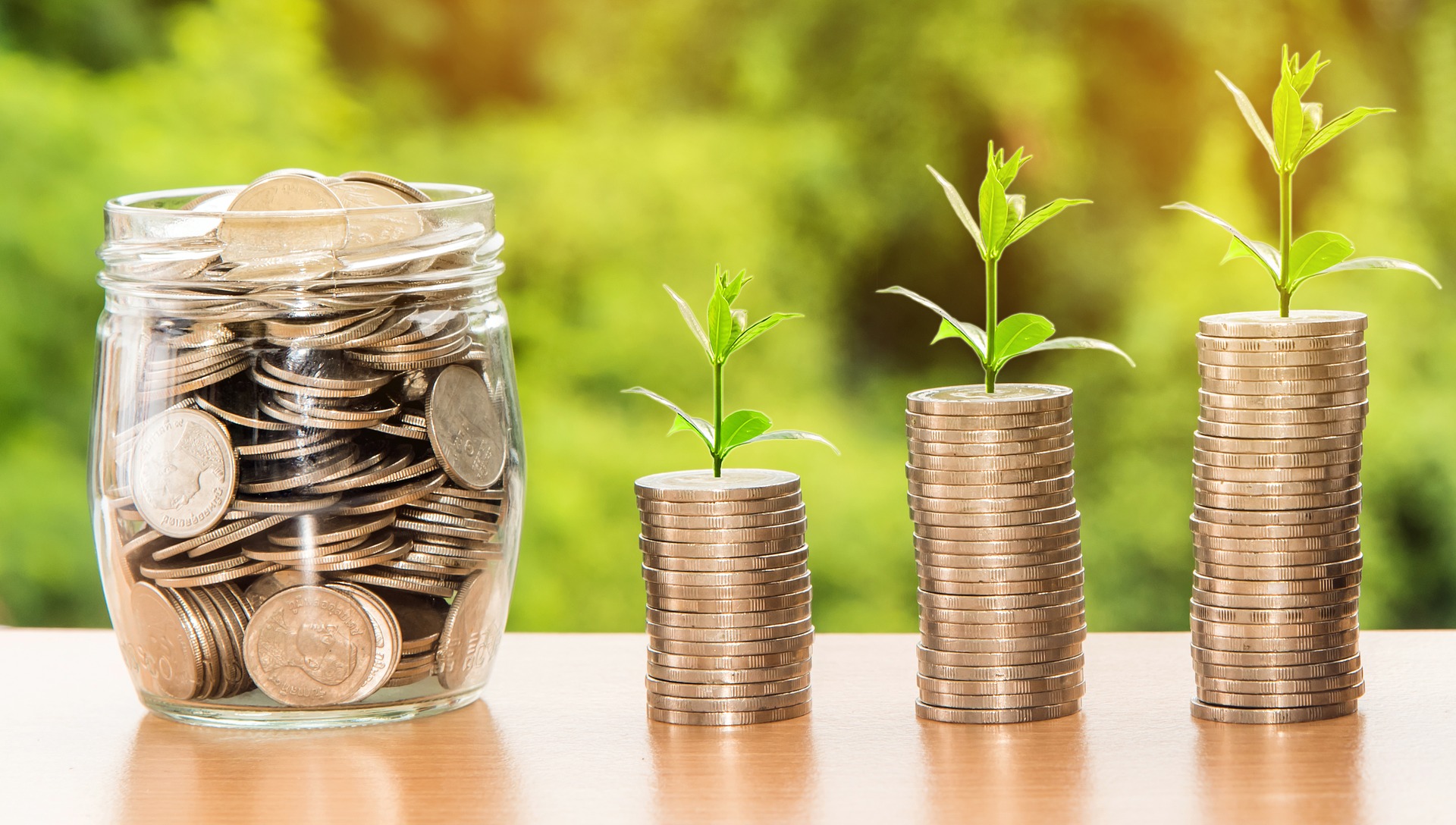 Plants growing from stacks of coins