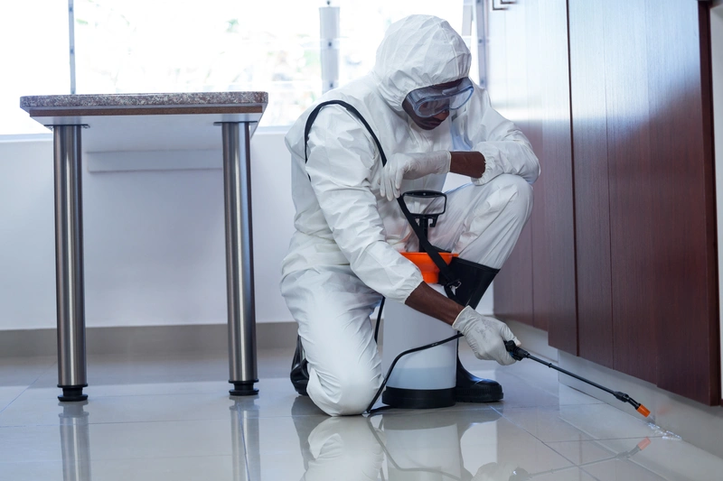carpet cleaning companies