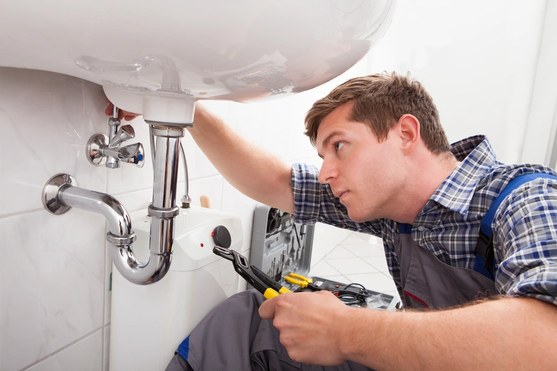 carpet cleaning companies